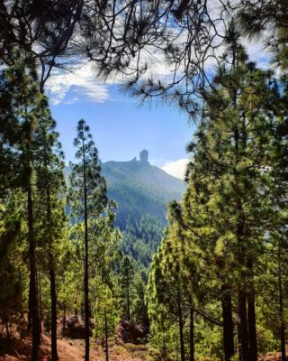 Feliz #diadecanarias🇮🇨⁣⁣ ⁣⁣ Happy #canaryislandsday 🇮🇨⁣⁣ ⁣ 📸 shot with my @samsunguk #shotwithgalaxy⁣ ⁣⁣ #latituddevida #latitudeoflife #lifeinparadise #lifelivedtrue #roquenublo